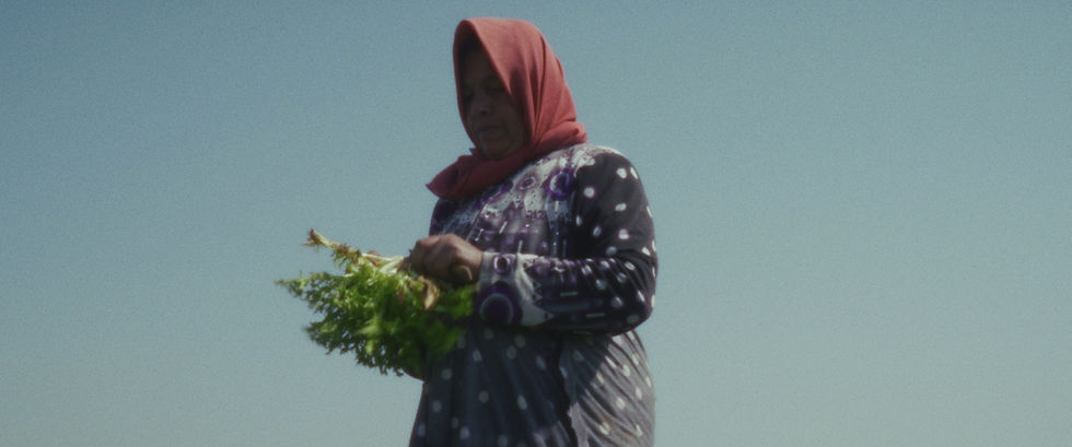 Seeds of Dignity
