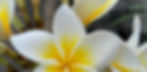 IMG-20200226-WA0006_edited.jpg