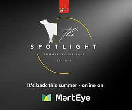 spotlight.jpg