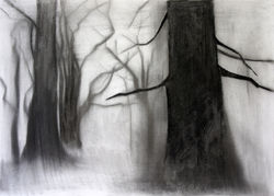 Dumfries house's tree study9