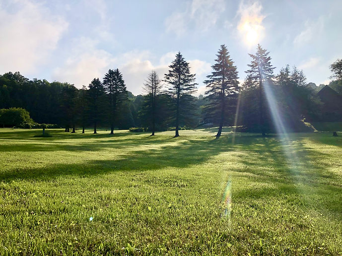 morning sun.jpg