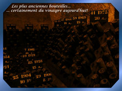 Les plus anciennes bouteilles