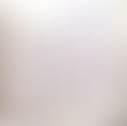 4月獣医師出勤表