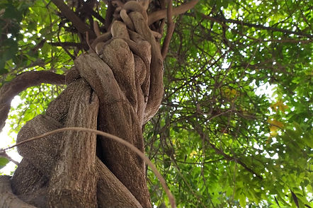 IMG_20210914_115402_1 (1).jpg