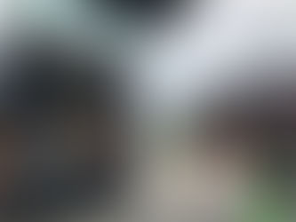 'MOBILE' Paintless Dent Removal?