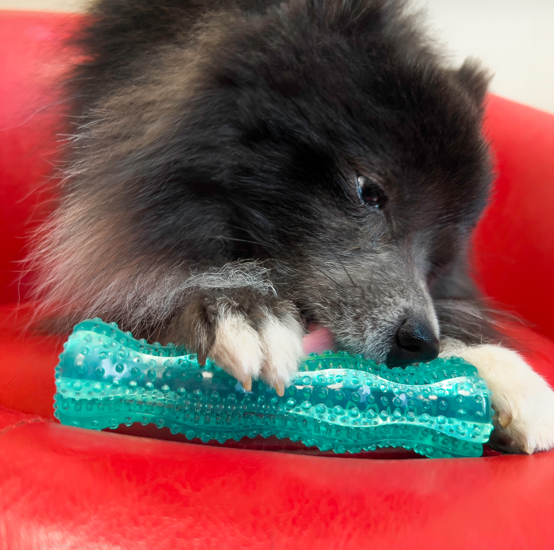 Thumbnail: KONG Squeezz Dental Stick