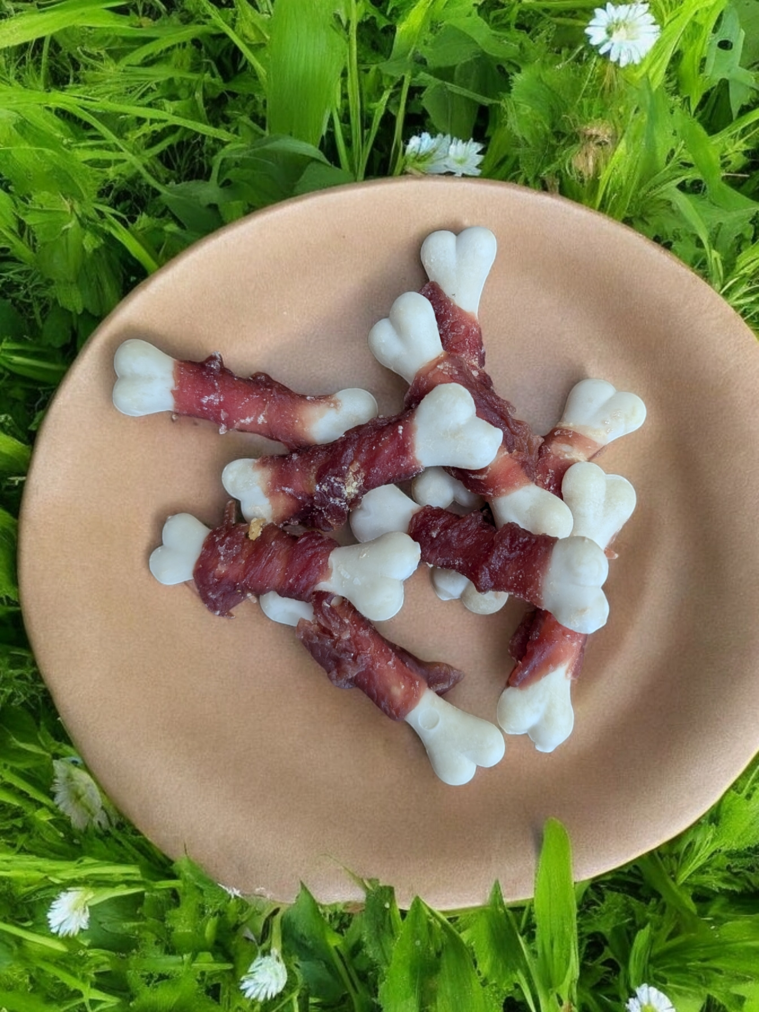 Trixie's - Duckies x1