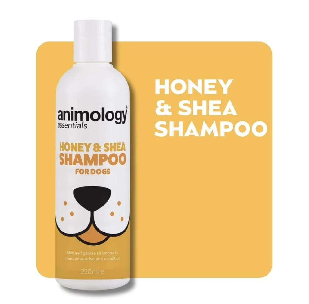 Animology Honey & Shea Dog Shampoo - 250ml