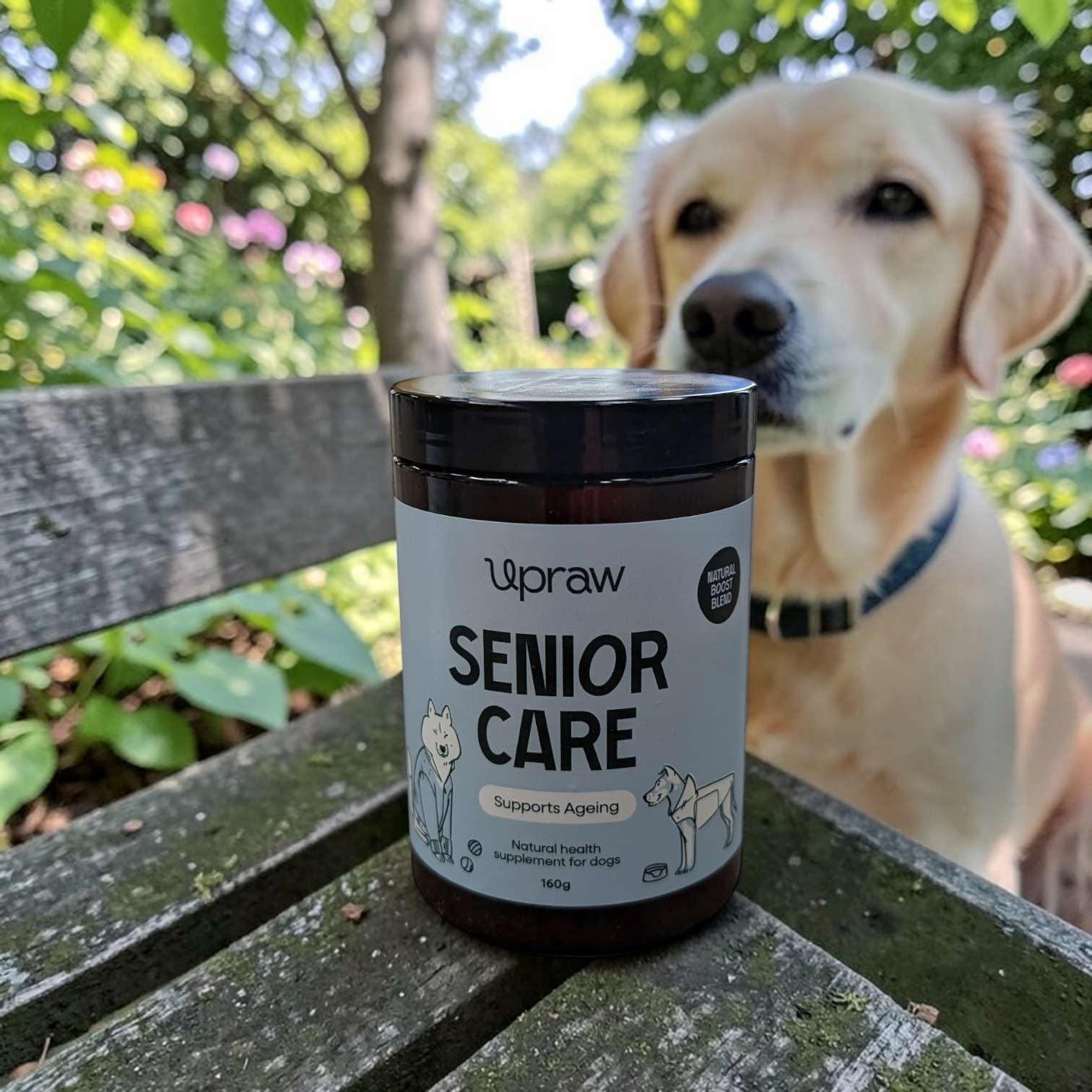 UpRaw Senior Care Supplement - 160g