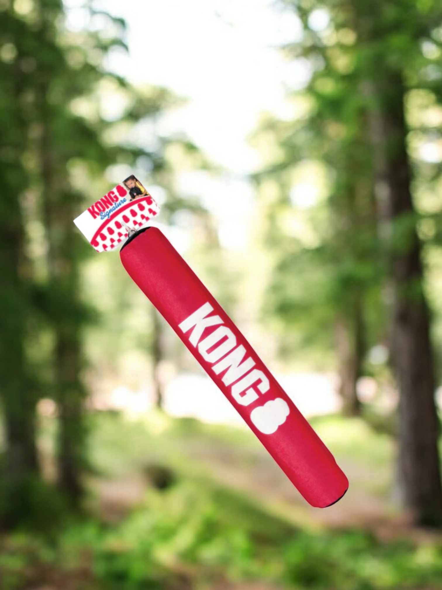 Kong Signature Stick - Medium