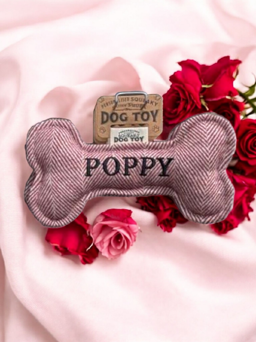 Thumbnail: Personalised Squeaky Bone 