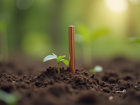 Understanding Earthing System Setup for Safety
