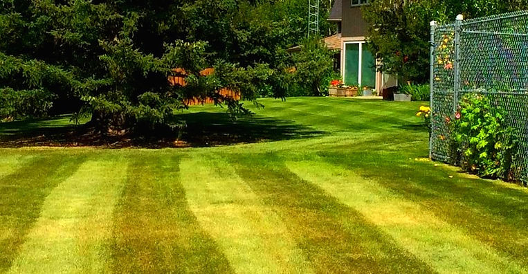 lawn maintenance south calgary