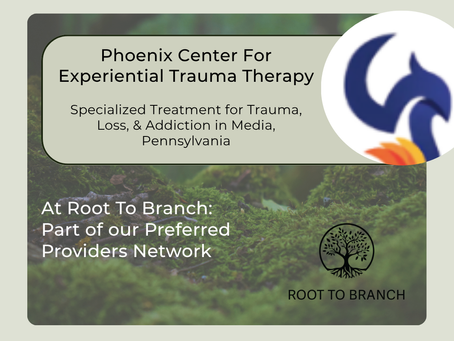 All About EMDR Therapy