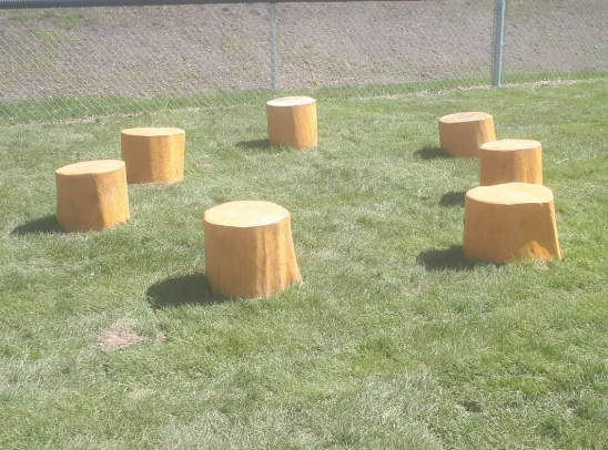 Stump Seats (1)