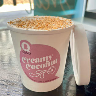 Creamy Coconut Sorbet