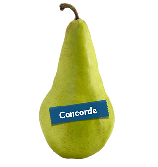 concorde pear