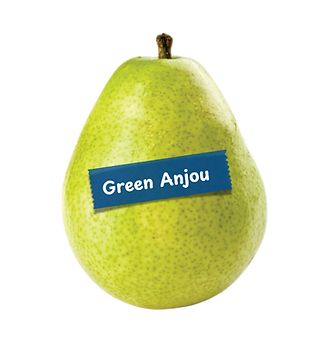 green anjou