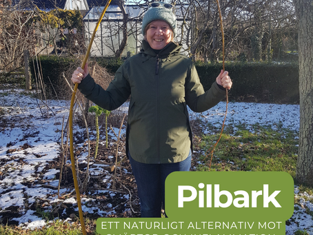 Pilbark - naturens aspirin