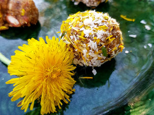 Enkla och goda maskros-energi bollar