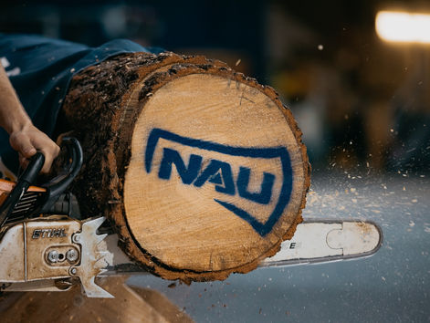 Walkup Skydome – Northern Arizona Lumberjacks Football