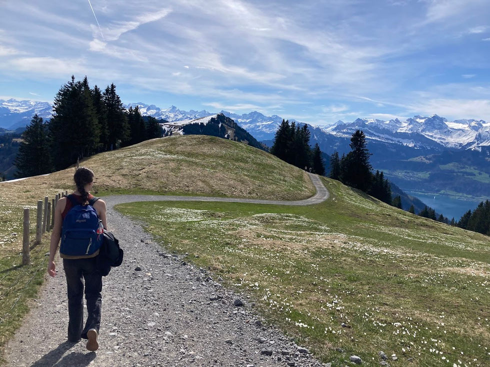 swiss 2