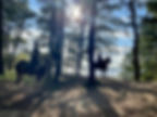 trailsView