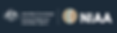 NIAA Logo wbackground.png