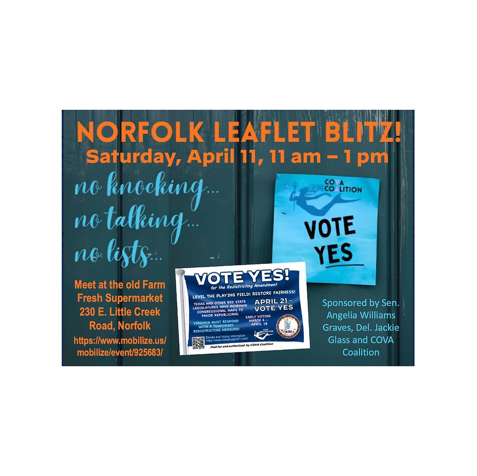 Vote YES Leafleting Blitz in Norfolk