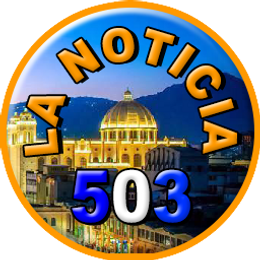 LOGO LN503.png