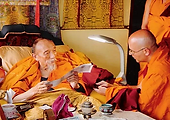 Lama e o Rinpoche.webp