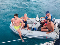 Back from a Turtle Swim