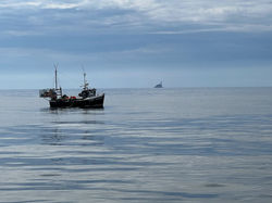 A peaceful Fastnet Rock_