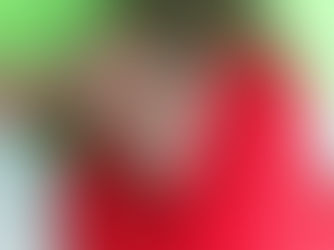 מנשא הבד – קווים לדמותו