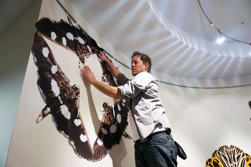 Moth Mural