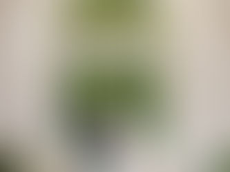 7月のハイライト写真をご紹介!