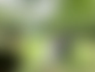 新郎新婦様&ご兄弟様のとっておき家族写真
