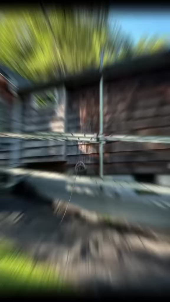 17975528408876330.mp4