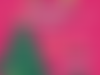 Soirée des Fêtes des Femmes de l’AABMM