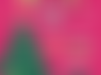 MMBRA Women’s Holiday Social Event