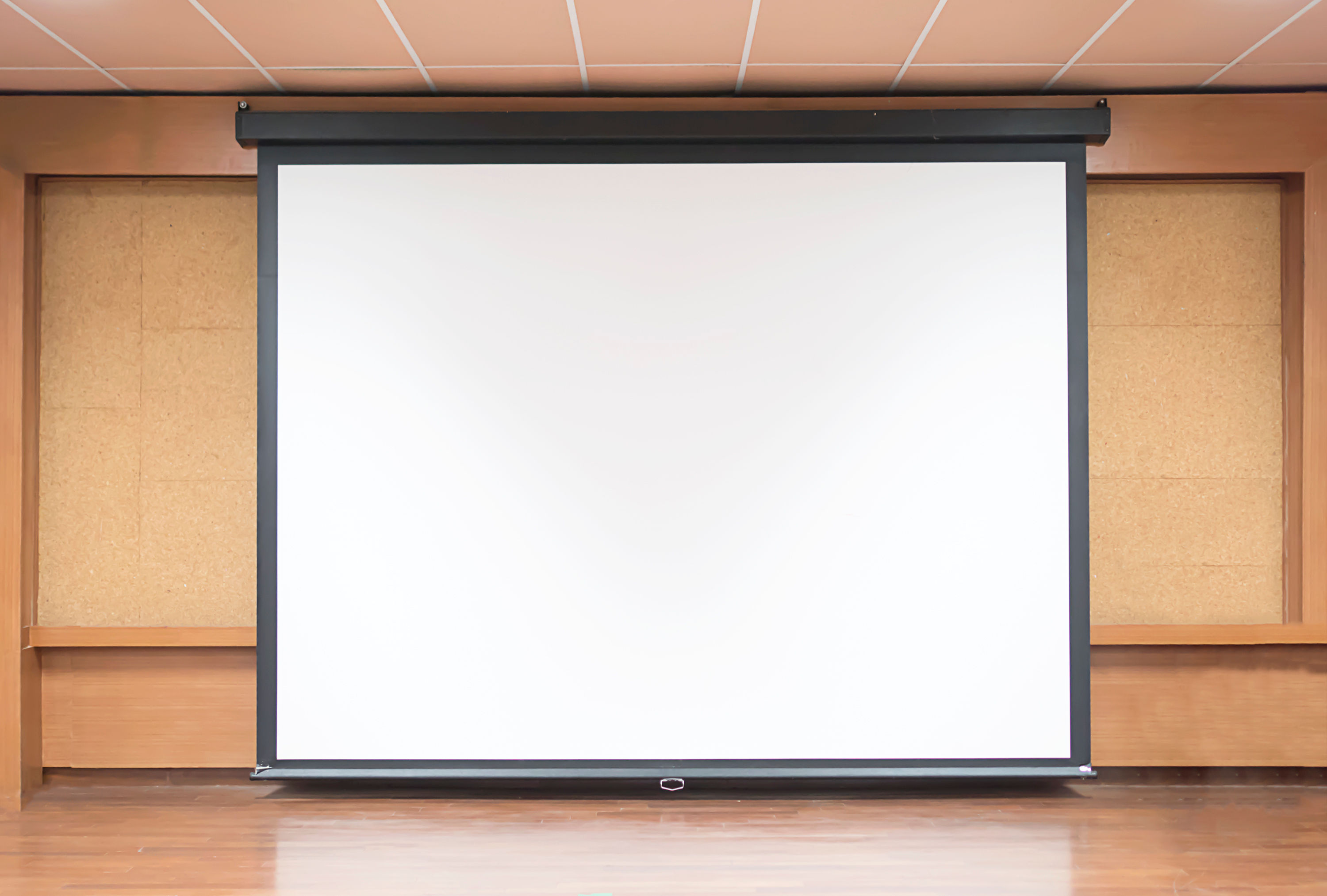 Projector screen1