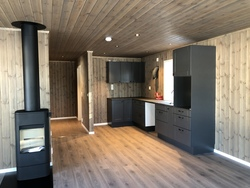 Hytte bygd på Gåsbu