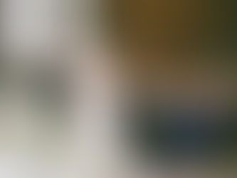 Introducing: The Ash K. Captures Experience | 2027 Offerings