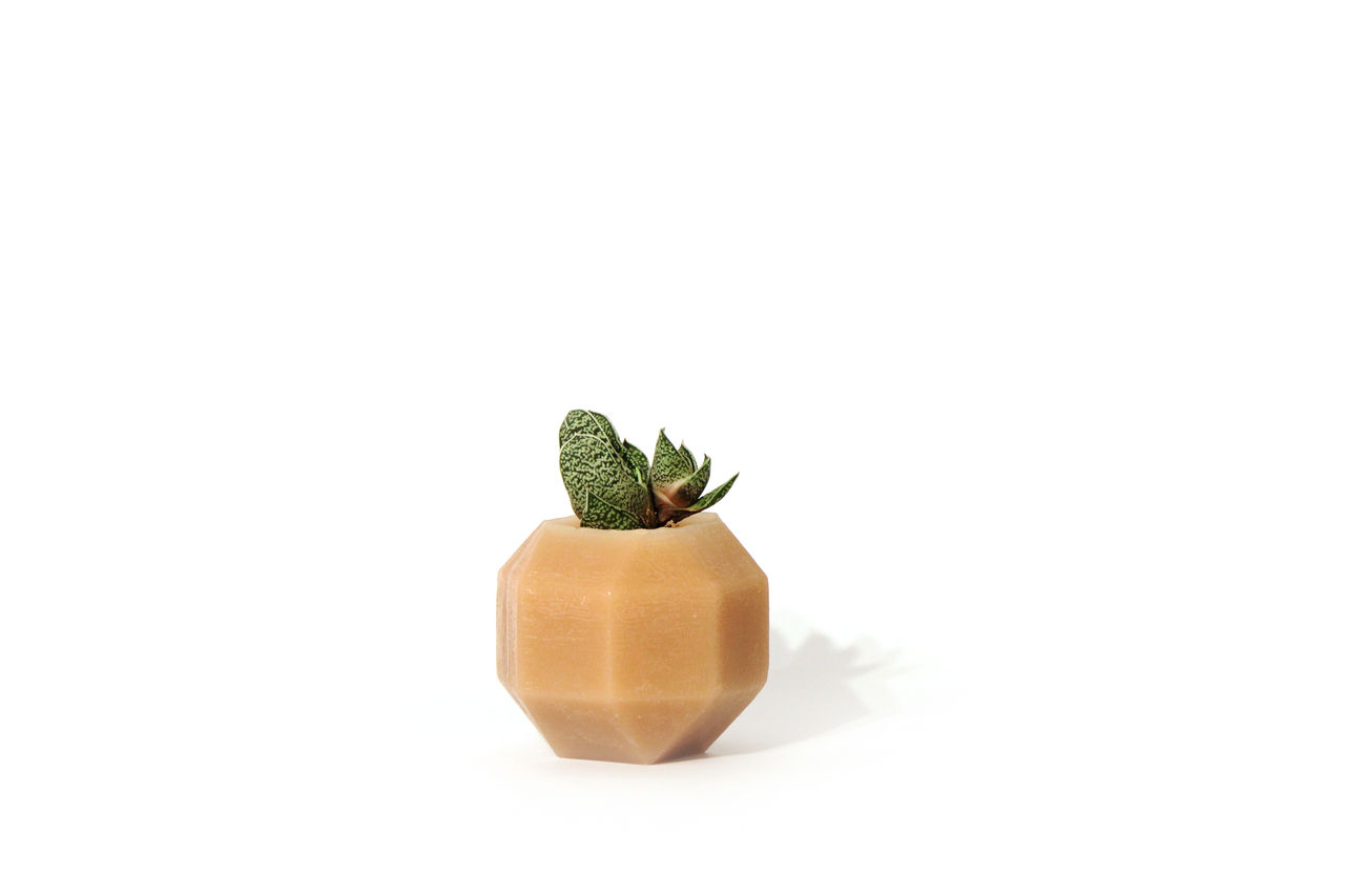 ROMBI vase in aromatic brown wax with a plant.