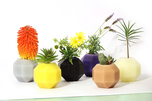 Set of ROMBI vases in aromatic wax and different colors with plants.