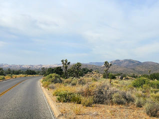 The Opposing Forces of Society & Soul