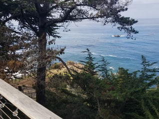 Essentialism, Minimalism & Mindfulness: How I built a less distracted life through each