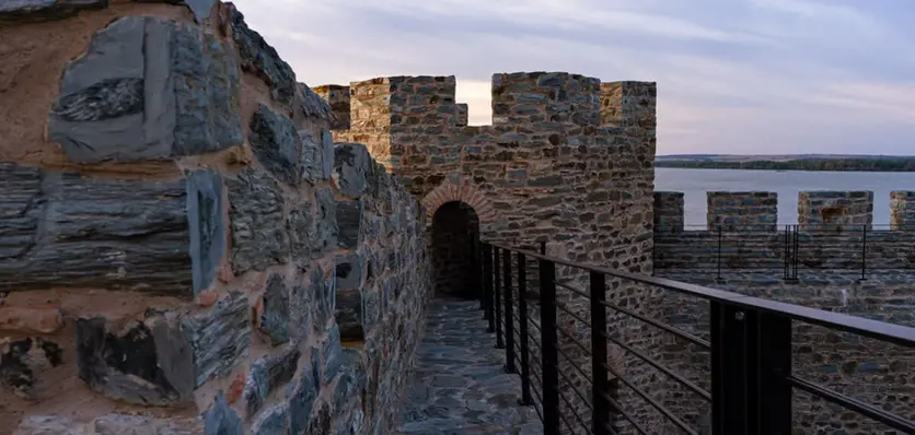 D2d - Château de bélier 5.webp