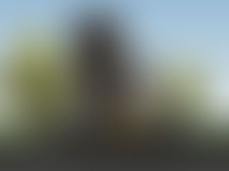 桃園透天住宅新建案