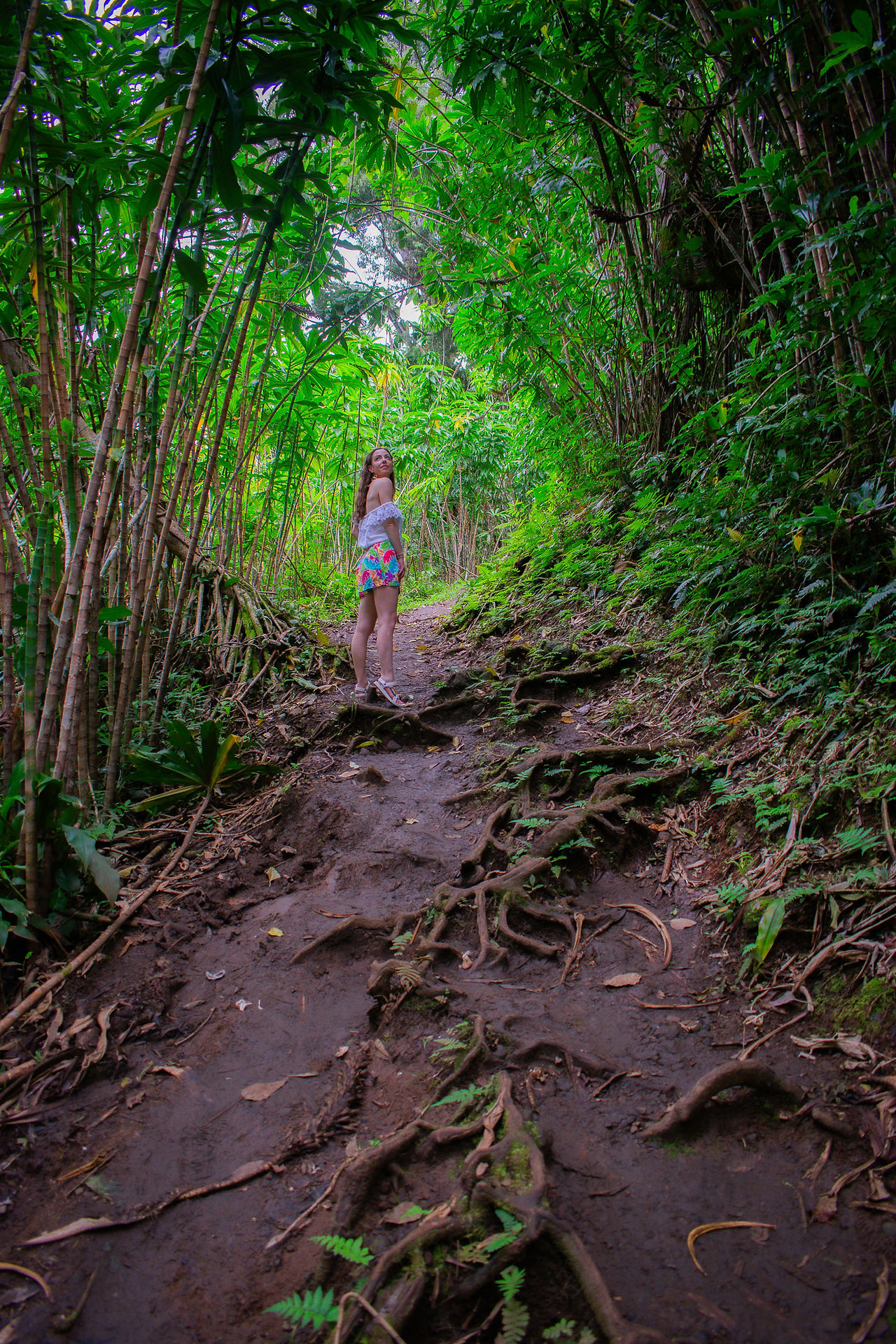 Garden of Eden Maui Hawaii Road to Hana